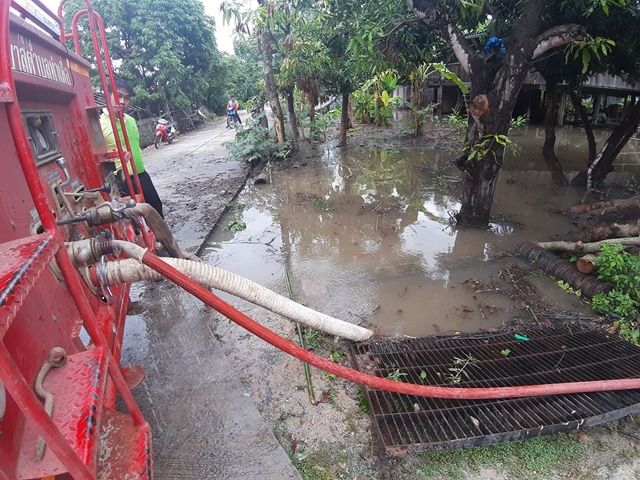 wt-3